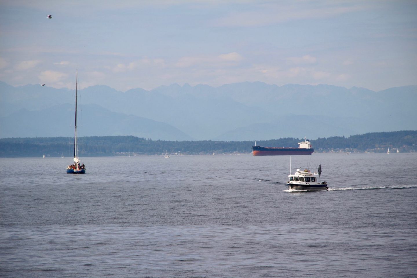 Puget Sound in Seattle, Washington - The Spectacular Adventurer