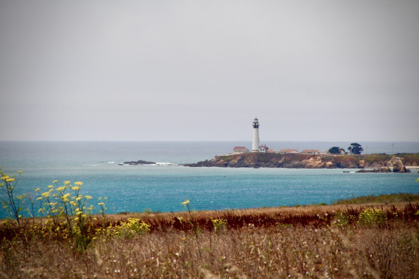 California's Highway 1 ... The Spectacular Adventurer