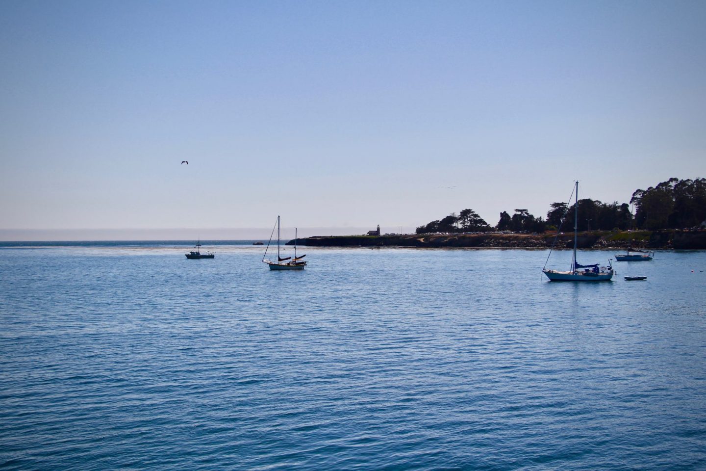 Santa Cruz Harbor at sunset, Santa Cruz, California - The Spectacular Adventurer