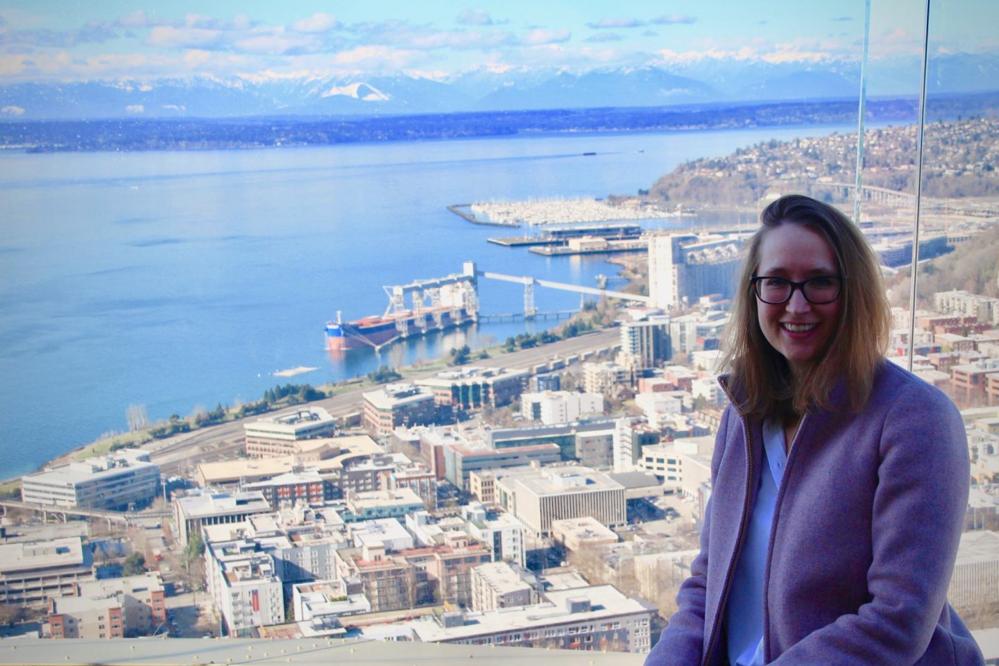 Seattle Piers from Space Needle Seattle, Washington - The Spectacular Adventurer