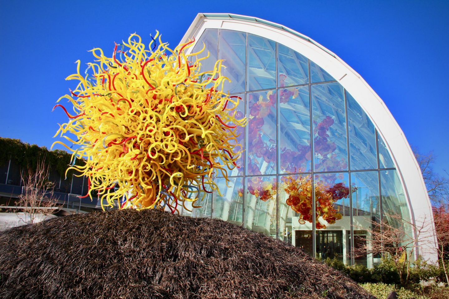 Chihuly Glass Museum, Seattle, Washington ... 24 hours in Seattle, WA ... The Spectacular Adventurer