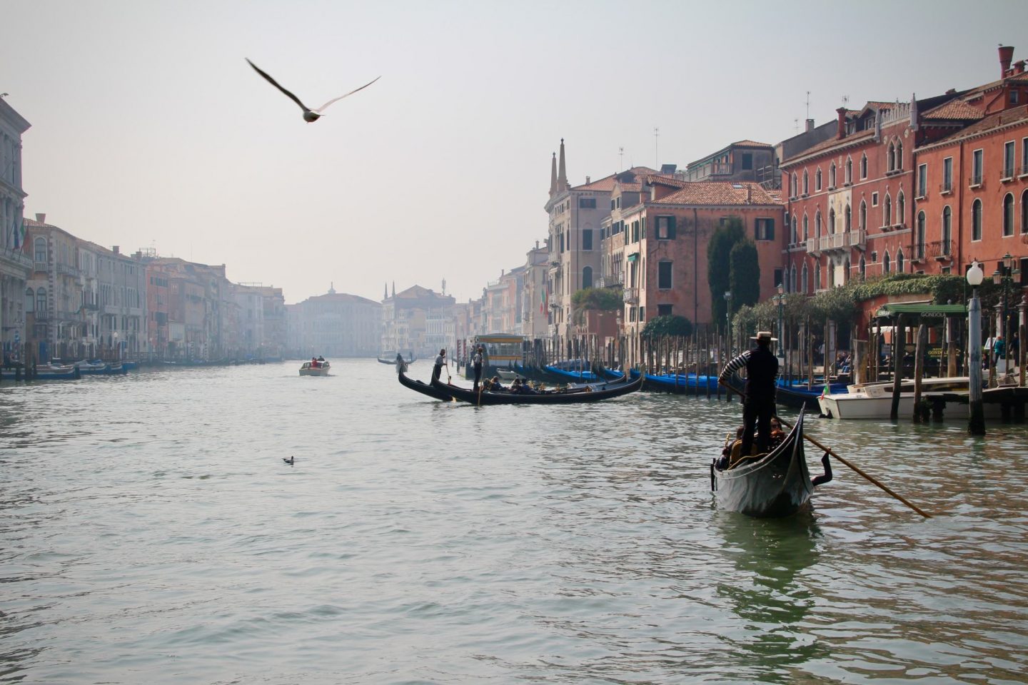 Venice Grand Canal Gondola Ride - The Spectacular Adventurer