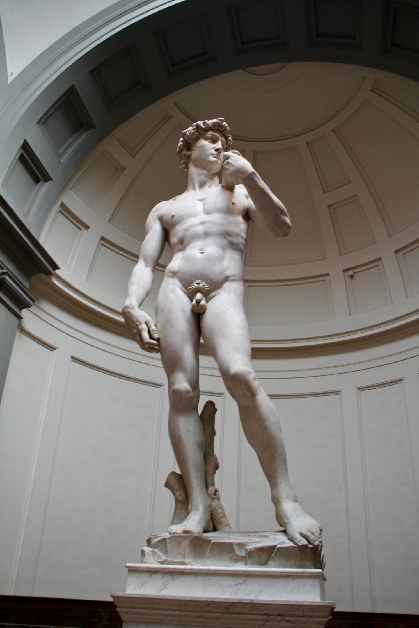 The David 24 Hours Florence ... The Spectacular Adventurer